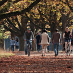 Wenn die Schaufenster immer interessanter werden