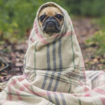 Tag und Nacht im Einsatz